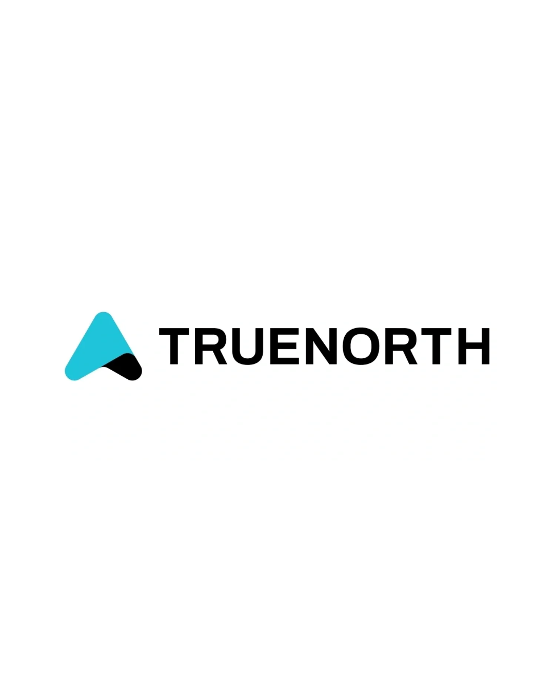 TRUENORTH