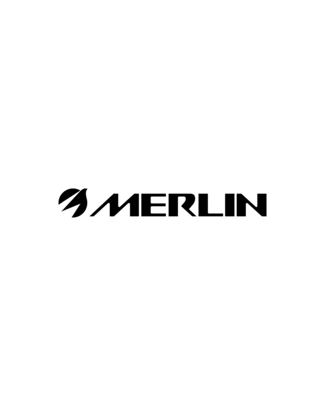 MERLIN