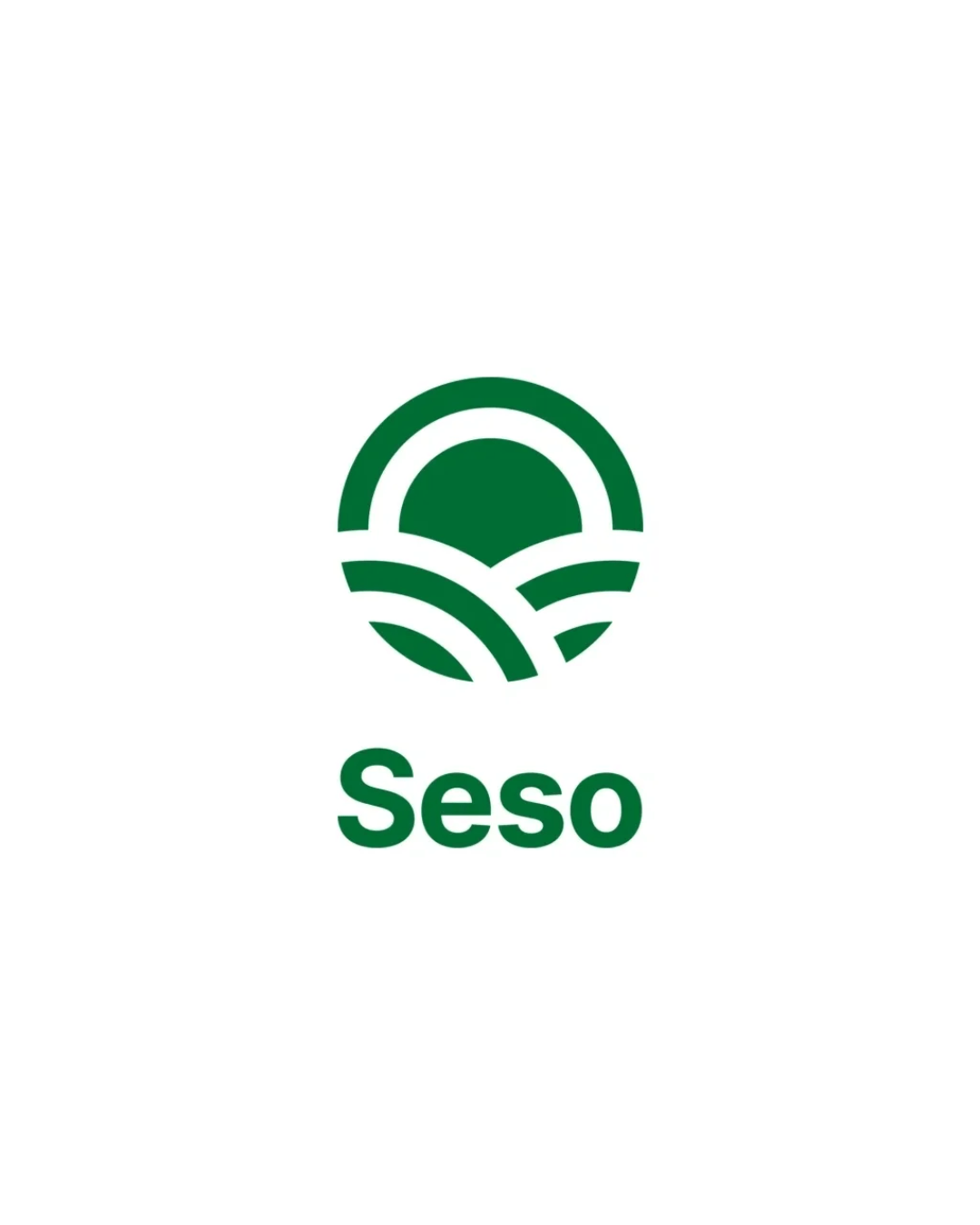 Seso Closes $26M Series B to Build Critical Software for American ...