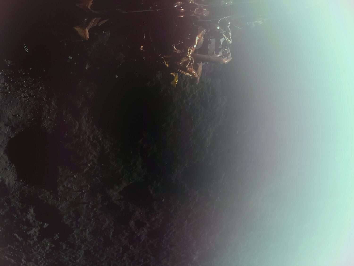 Firefly’s Blue Ghost lunar lander softly touched down in Mare Crisium carrying 10 NASA instruments